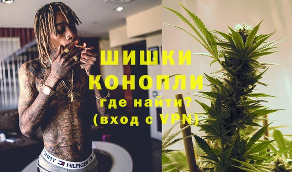 дмт Пестово