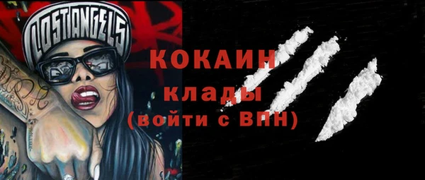 тгк Пересвет
