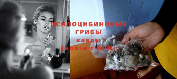 прущая мука Переславль-Залесский
