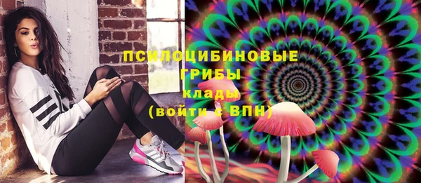 дживик Осинники