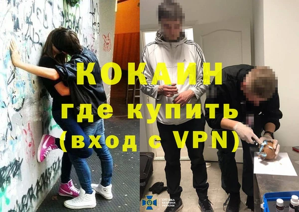 дмт Пестово