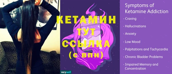 дмт Пестово