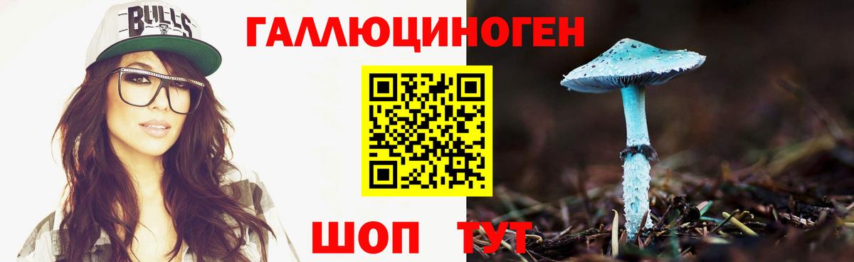 Галлюциногенные грибы мицелий  хочу наркоту  Галлюциногенные грибы Psilocybine cubensis  Дальнереченск  Вход с VPN 